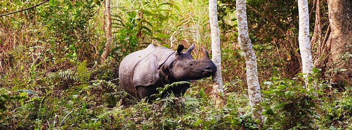 283/M.V. Mahabaahu Brahmaputra River Cruise - Guwahati 18.jpg